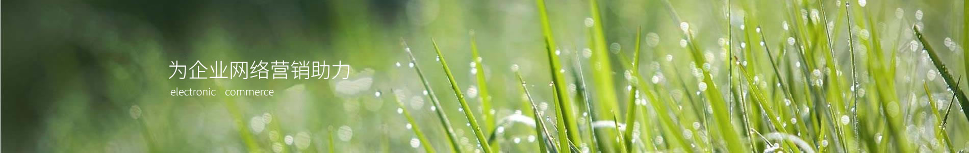 ںԴƼ޹˾